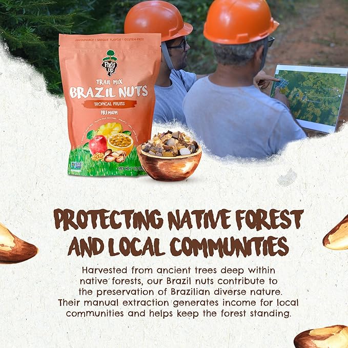 Snack Tropical Trail Mix 7 oz – The True Organic Brazil Nuts Roasted + Dried Apple + White Raisins + Dried Pineapple + Passion Fruit Nibs – Kosher – Fresh, Vegan and Gluten Free – Forest Up