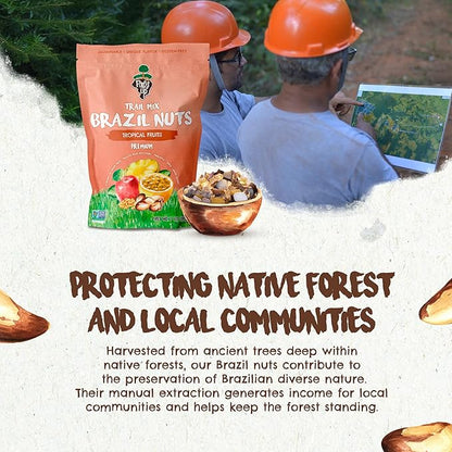 Snack Tropical Trail Mix 7 oz – The True Organic Brazil Nuts Roasted + Dried Apple + White Raisins + Dried Pineapple + Passion Fruit Nibs – Kosher – Fresh, Vegan and Gluten Free – Forest Up