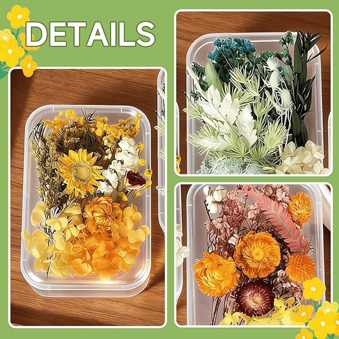 2PCS Dried Flowers Kit, Natural Dried Flowers Kit for DIY Crafts, Scrapbook, Card Making (Style18_24_27)