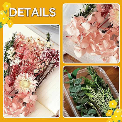 2PCS Dried Flowers Kit, Natural Dried Flowers Kit for DIY Crafts, Scrapbook, Card Making (Stye2_13)