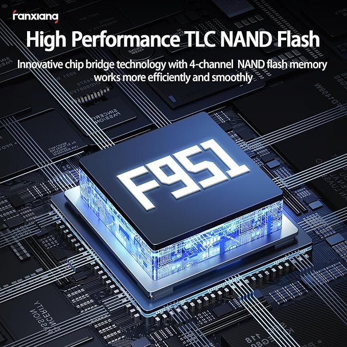 fanxiang 1TB External SSD USB Flash Drive Up to 2000MB/s USB 3.2 Gen2, 2-in-1 Dual USB Drive Type-C, Memory Stick Solid State Thumb Drive for iPhone 15/16 Pro/Android/Windows/MacPC/Laptops