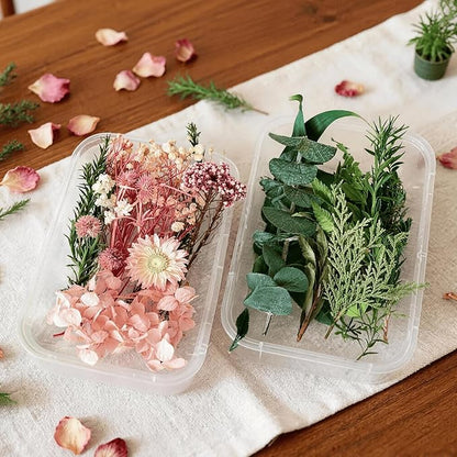 2PCS Dried Flowers Kit, Natural Dried Flowers Kit for DIY Crafts, Scrapbook, Card Making (Stye2_13)