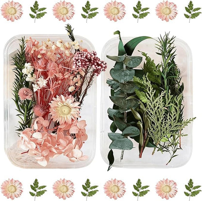 2PCS Dried Flowers Kit, Natural Dried Flowers Kit for DIY Crafts, Scrapbook, Card Making (Stye2_13)
