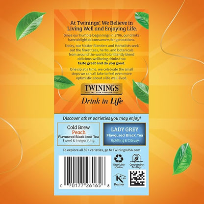Twinings English Classic Cold Brew Iced Tea Bags, 20 Count (Pack of 1), Unsweetened Black Tea, Caffeinated, 20 Teabags