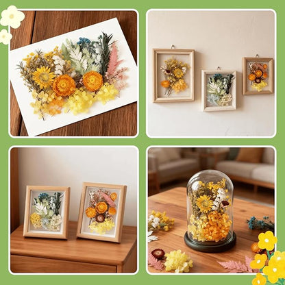 2PCS Dried Flowers Kit, Natural Dried Flowers Kit for DIY Crafts, Scrapbook, Card Making (Style18_24_27)
