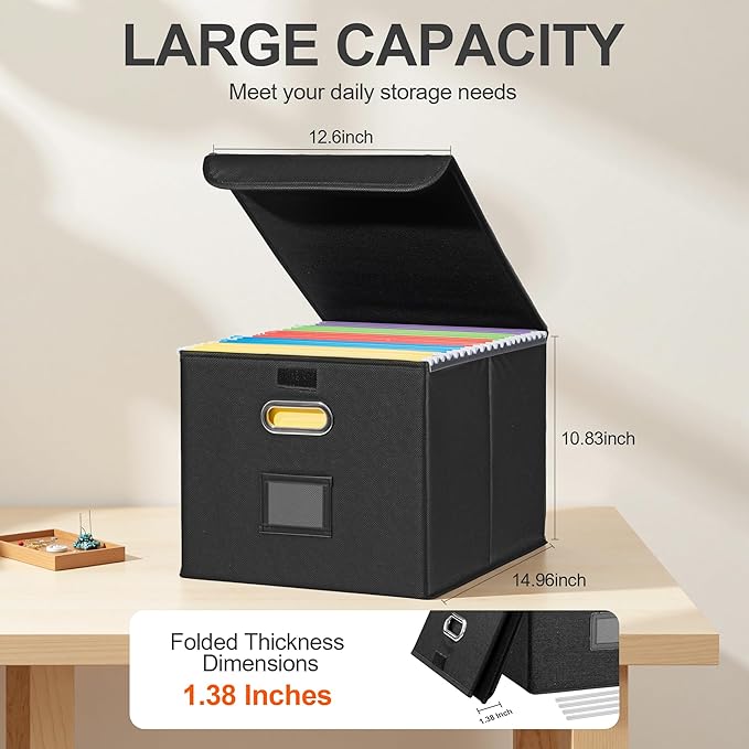 Collapsible File Box with Lid & Plastic Slide - Hanging Document Organizer for Office/Home, 14.96x12.6x10.83 Inch,Black, 2 Pack (No Folders Included)