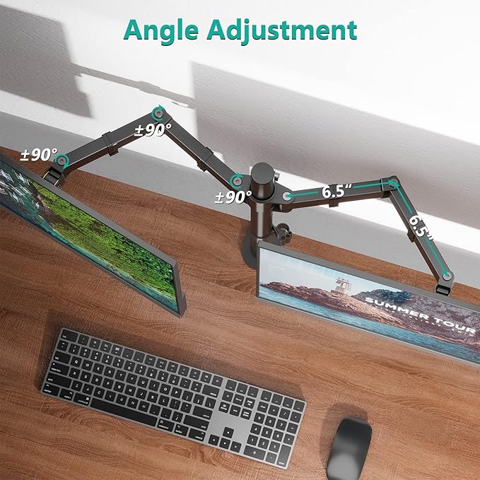 WALI Dual Monitor Stand for 13-27 inch Screens, Dual Monitor Mounts for 2 Monitors, 2 Monitor Desk Mount Holds up to 22 lbs, Height Adjustable Swivel Tilt Rotation, 75x75/100x100mm (M002), Black