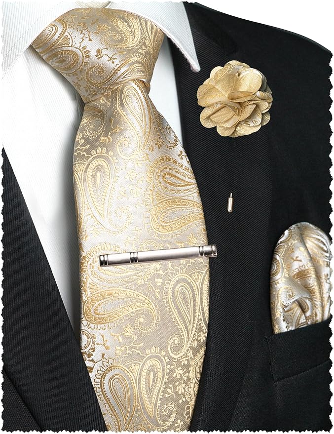 JEMYGINS Mens Paisley Tie and Lapel Pin Necktie Pocket Square and Tie Clip with Sets for Business Casual 4PCS