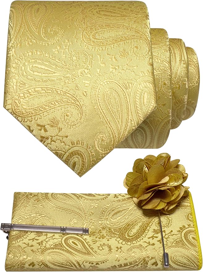JEMYGINS Mens Paisley Tie and Lapel Pin Necktie Pocket Square and Tie Clip with Sets for Business Casual 4PCS