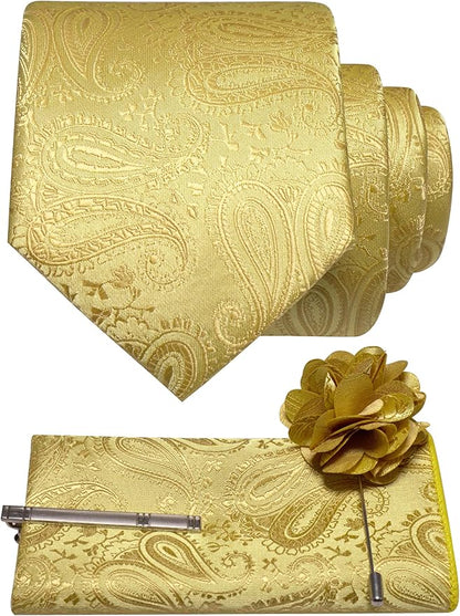 JEMYGINS Mens Paisley Tie and Lapel Pin Necktie Pocket Square and Tie Clip with Sets for Business Casual 4PCS