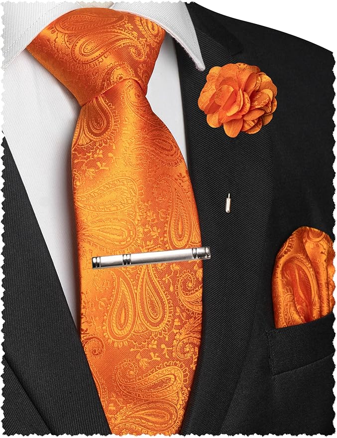 JEMYGINS Mens Paisley Tie and Lapel Pin Necktie Pocket Square and Tie Clip with Sets for Business Casual 4PCS