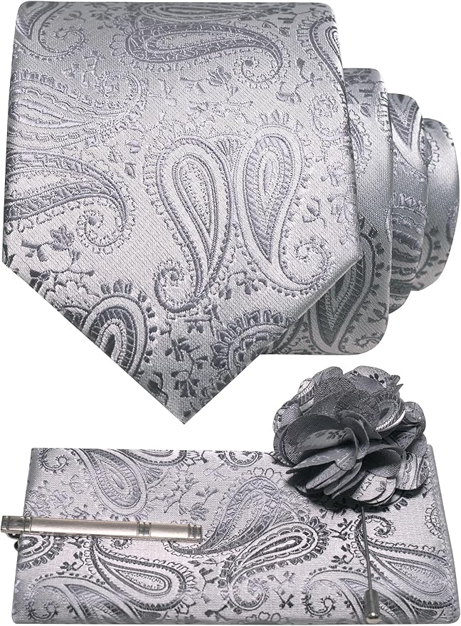 JEMYGINS Mens Paisley Tie and Lapel Pin Necktie Pocket Square and Tie Clip with Sets for Business Casual 4PCS