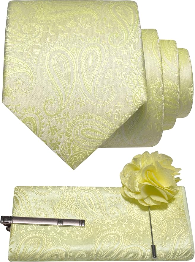 JEMYGINS Mens Paisley Tie and Lapel Pin Necktie Pocket Square and Tie Clip with Sets for Business Casual 4PCS
