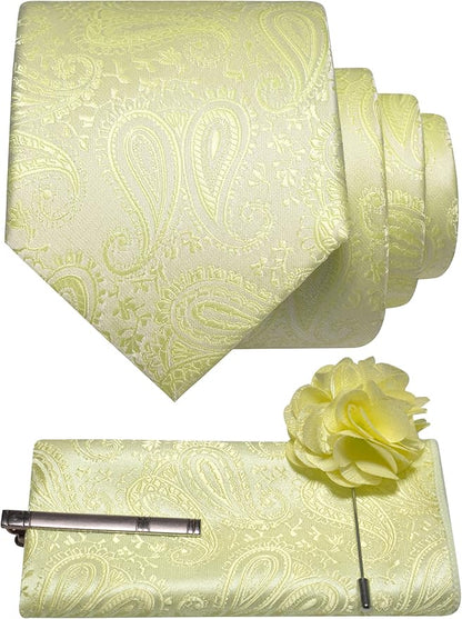 JEMYGINS Mens Paisley Tie and Lapel Pin Necktie Pocket Square and Tie Clip with Sets for Business Casual 4PCS