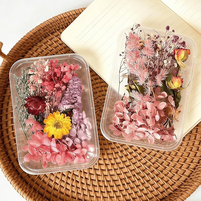 2PCS Dried Flowers Kit, Natural Dried Flowers Kit for DIY Crafts, Scrapbook, Card Making (Style15_28)