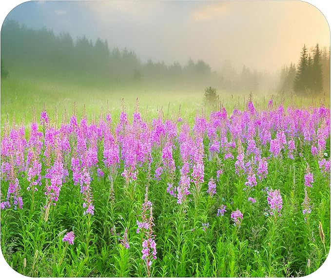 Spring Season Mouse Pad Mat Mousepad for Desk Computer Laptop PC Gaming Home or Office Gift (Meadow MP88)