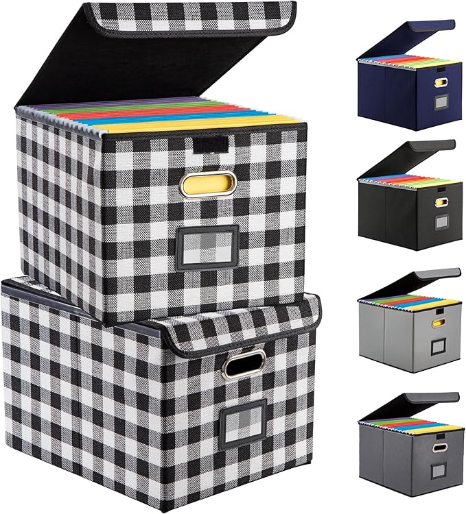 Collapsible File Box with Lid & Plastic Slide - Hanging Document Organizer for Office/Home, 14.96x12.6x10.83 Inch,Black and White Lattice, 2 Pack (No Folders Included)