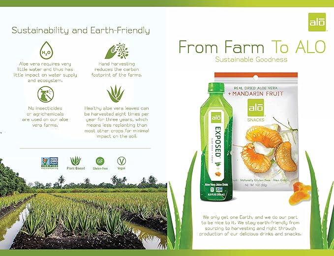 ALO Aloe Vera Juice Drink | BLUSH - Aloe Vera + Strawberry | 16.9 fl oz, Pack of 12 | Plant-Based Drink with Real Aloe Pulp