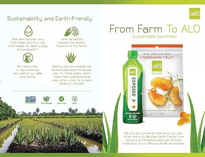 ALO Aloe Vera Juice Drink | BLUSH - Aloe Vera + Strawberry | 16.9 fl oz, Pack of 12 | Plant-Based Drink with Real Aloe Pulp