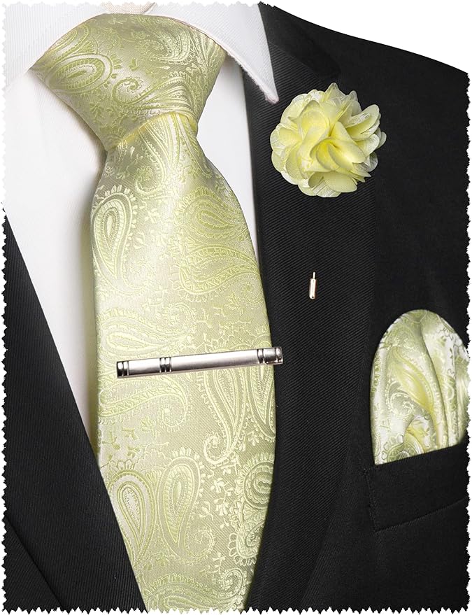JEMYGINS Mens Paisley Tie and Lapel Pin Necktie Pocket Square and Tie Clip with Sets for Business Casual 4PCS