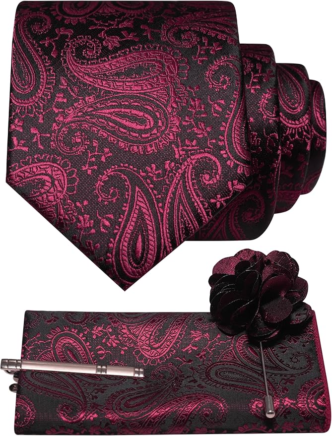 JEMYGINS Mens Paisley Tie and Lapel Pin Necktie Pocket Square and Tie Clip with Sets for Business Casual 4PCS