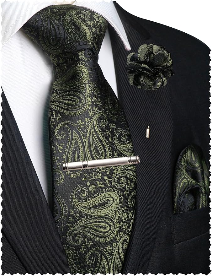 JEMYGINS Mens Paisley Tie and Lapel Pin Necktie Pocket Square and Tie Clip with Sets for Business Casual 4PCS