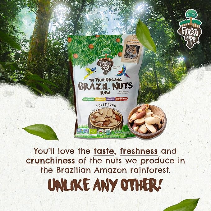 Snack The True Organic Brazil Nuts Medium Size 32 oz-2lbs – Raw and Unsalted – Kosher – Healthy-Rich in Vegetable Protein – Harvested in Amazon Rainforest – Fresh, Vegan and Gluten Free – Forest Up