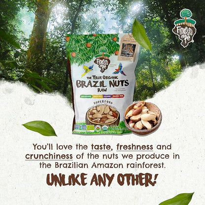 Snack The True Organic Brazil Nuts Medium Size 32 oz-2lbs – Raw and Unsalted – Kosher – Healthy-Rich in Vegetable Protein – Harvested in Amazon Rainforest – Fresh, Vegan and Gluten Free – Forest Up