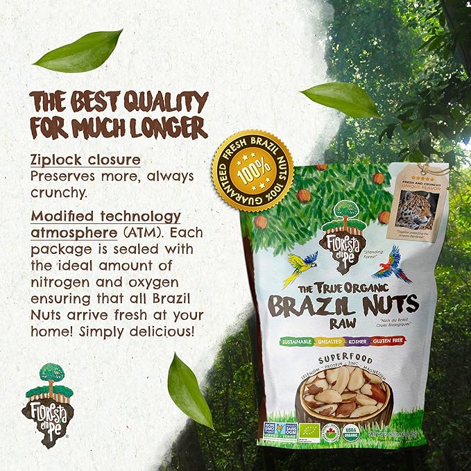 Snack The True Organic Brazil Nuts 15 oz – Raw and Unsalted – Kosher – Healthy-Rich in Vegetable Protein – Harvested in Amazon Rainforest – Fresh, Vegan and Gluten Free – Forest Up