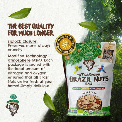 Snack The True Organic Brazil Nuts 15 oz – Raw and Unsalted – Kosher – Healthy-Rich in Vegetable Protein – Harvested in Amazon Rainforest – Fresh, Vegan and Gluten Free – Forest Up