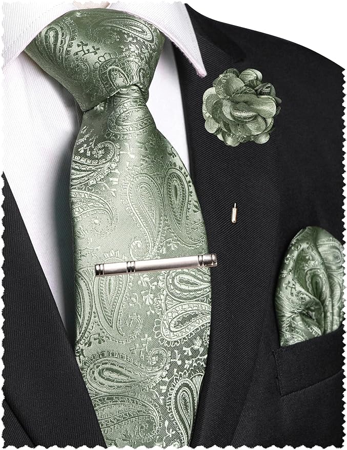 JEMYGINS Mens Paisley Tie and Lapel Pin Necktie Pocket Square and Tie Clip with Sets for Business Casual 4PCS