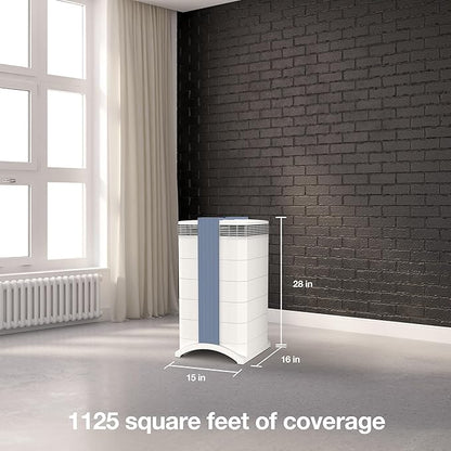IQAir GC MultiGas XE Air Purifier – Smart MultiGas Filtration for Rooms up to 1125 sq ft - Chemicals, Odors, VOCs, and Particles, Swiss Made, WiFi Enabled