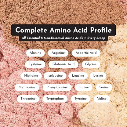 JUST INGREDIENTS Strawberries & Cream Protein Powder – 20-Serving Blend with 100% Grass-Fed Whey & Organic Plant Proteins – Real Strawberry Flavor – Supports Muscle Recovery, Energy*