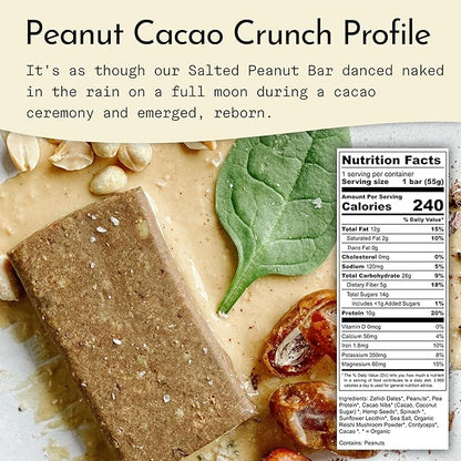 Send Bars Plant-Based Vegan Healthy Protein Bars, With Greens (Peanut Cacao Crunch, 8 Bars) – Only Real Ingredients, Zero Added Sugar, Gluten-Free, Dairy-Free