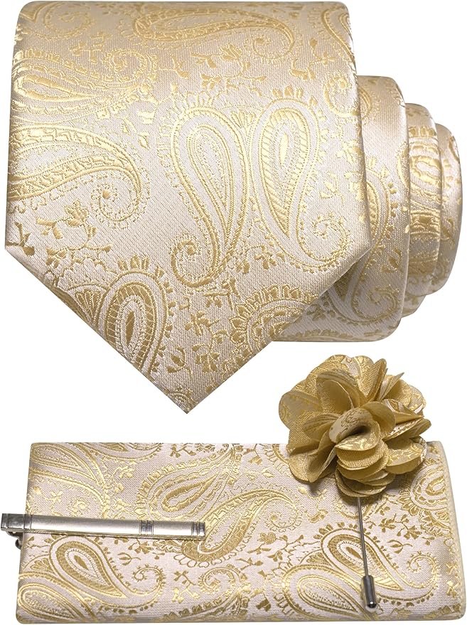 JEMYGINS Mens Paisley Tie and Lapel Pin Necktie Pocket Square and Tie Clip with Sets for Business Casual 4PCS