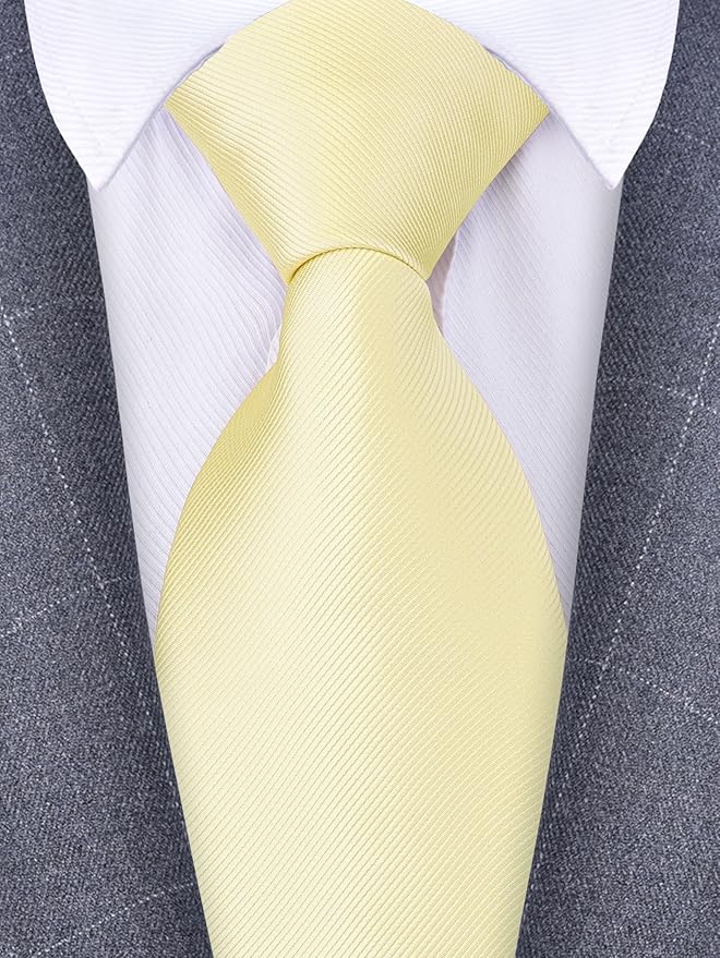 Branduce 3.15"（8cm） Men's Solid Color Formal Woven Necktie + Gift Box