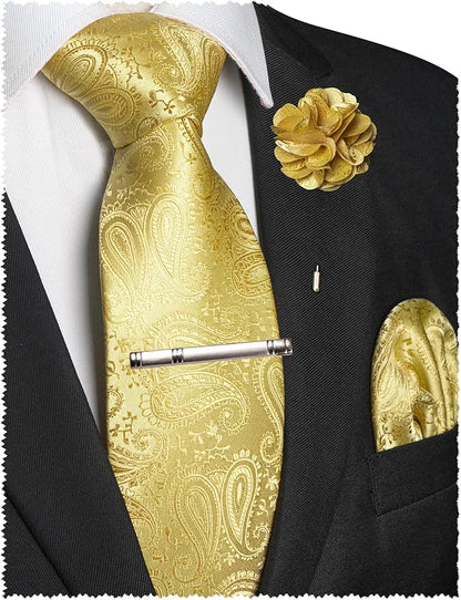 JEMYGINS Mens Paisley Tie and Lapel Pin Necktie Pocket Square and Tie Clip with Sets for Business Casual 4PCS