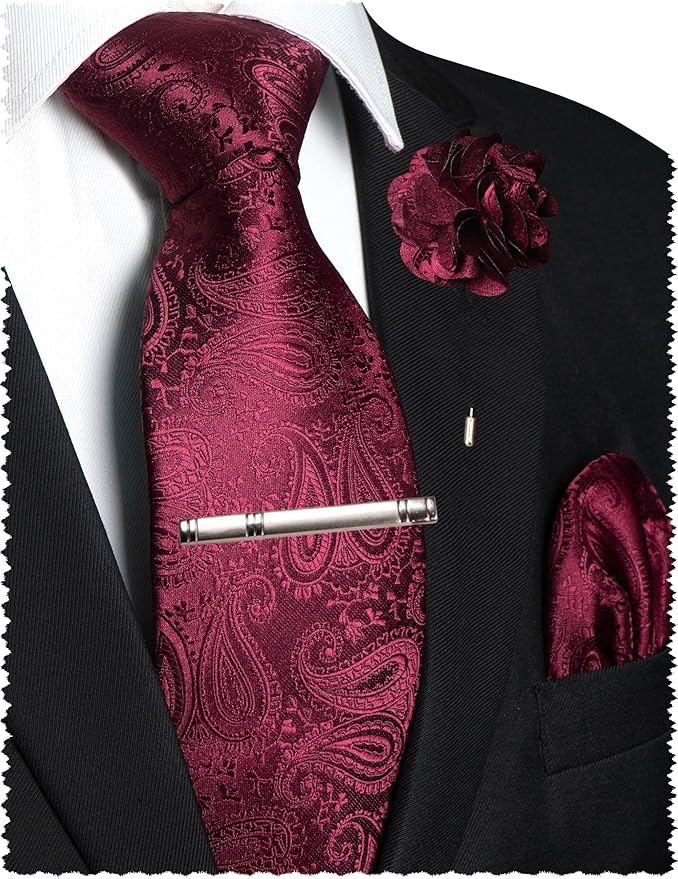 JEMYGINS Mens Paisley Tie and Lapel Pin Necktie Pocket Square and Tie Clip with Sets for Business Casual 4PCS