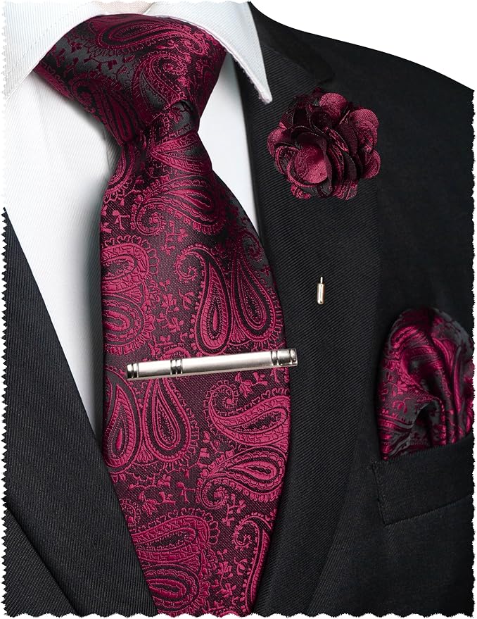 JEMYGINS Mens Paisley Tie and Lapel Pin Necktie Pocket Square and Tie Clip with Sets for Business Casual 4PCS