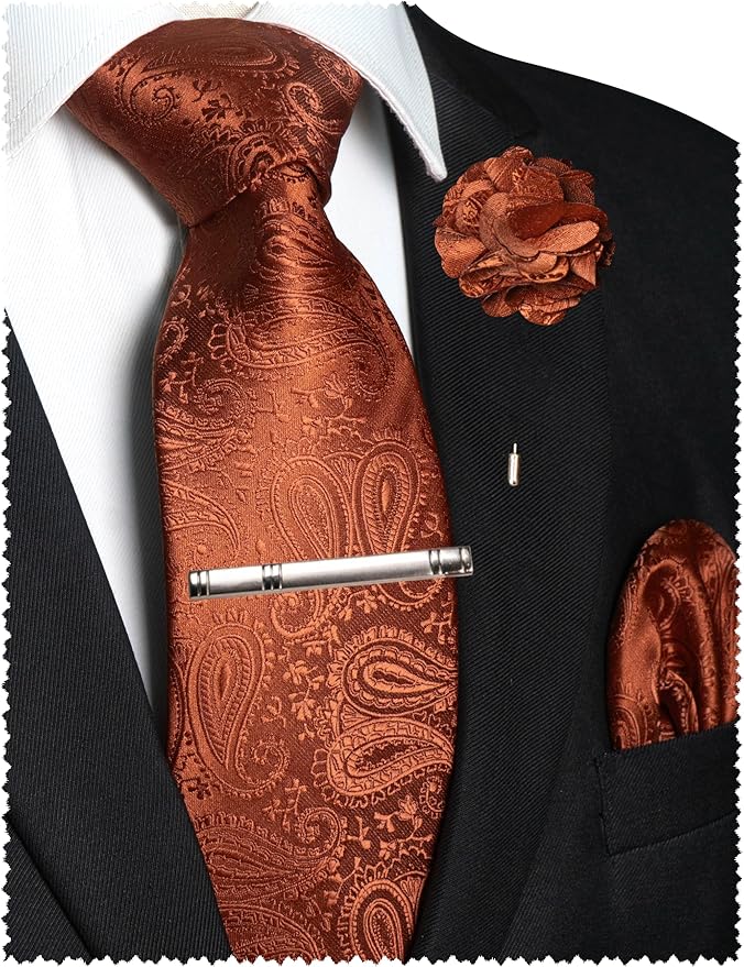 JEMYGINS Mens Paisley Tie and Lapel Pin Necktie Pocket Square and Tie Clip with Sets for Business Casual 4PCS