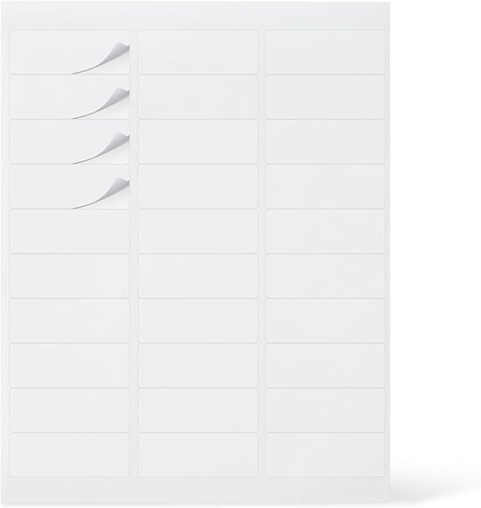 Amazon Basics Printable Address Labels, White, 1" x 2 - 5/8", 3000 Blank Mailing Labels | Address Labels - TrueDesk