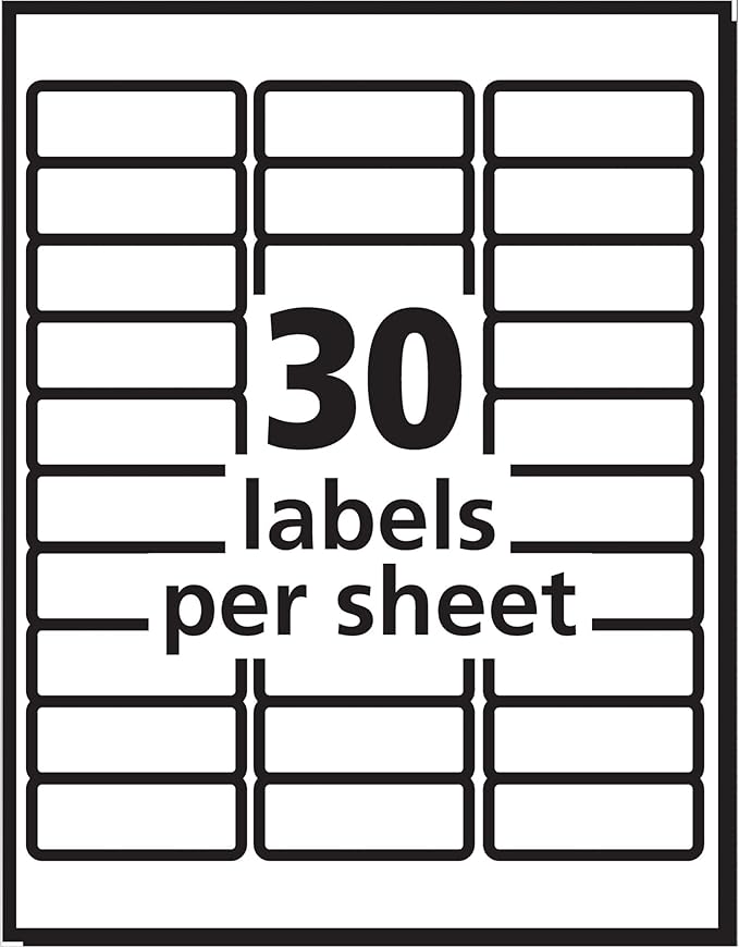Avery Easy Peel Printable Address Labels with Sure Feed, 1" x 2 - 5/8" Customizable Stickers, White, 3,000 Blank Mailing Labels, Great for Mailing, Shipping, and More (5160) | Address Labels - TrueDesk