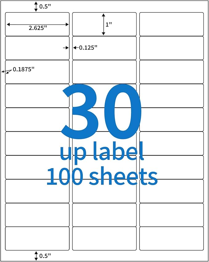 BESTEASY 30 - up 100 Sheets 1" X 2 - 5/8" Address Shipping Labels for Laser and Inkjet Printers, FBA Product Labels (3000 Labels) | Laser Inkjet Printer Labels - TrueDesk