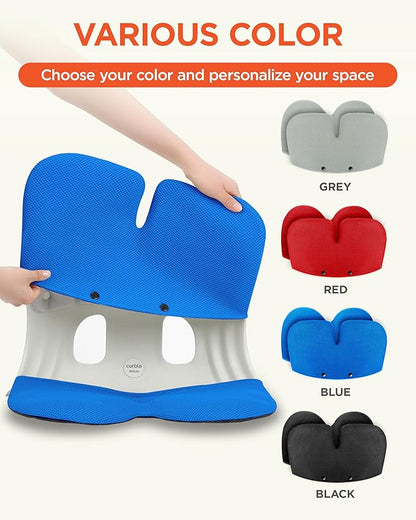 curble Grand Cover, Detachable Cover for Adult Chair, Ergonomic Chair Back Support and Lumbar Support (Blue) | Back Seat Cushions - TrueDesk