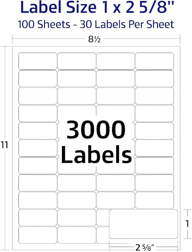 Easy Peeling Printable Address Shipping Labels, 2.625" x 1" | Customizable Sticker | White | 3,000 Blank Mailing and Shipping Labels | Inkjet and Laser Printer Guaranteed | Blank Labels | Laser Inkjet Printer Labels - TrueDesk