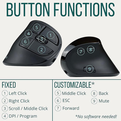 Ergodriven Om Vertical Ergonomic Mouse | Wireless: Bluetooth & 2.4G | Rechargeable, Optical, 4 DPI Levels, 5 Custom Buttons | for PC, Mac, Laptop, Computer | Silent Click | Copy/Paste Function | Mice - TrueDesk
