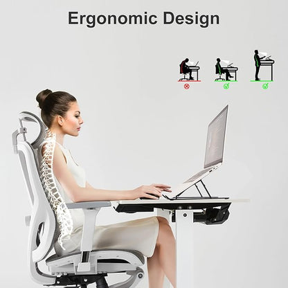 Ergonomic and Foldable Laptop Stand for Desk, Adjustable Riser, Fits All Laptops and Notebooks up to 17,Ultra - Thin,Ventilated Cooling,ABS+Silicone,Black. | Stands - TrueDesk