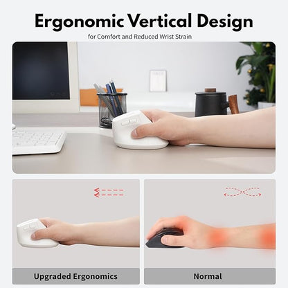 Ergonomic Mouse,Wireless Mouse,Bluetooth Vertical Mouse with BT5.0/4.0/2.4G, Rechargeable with Battery Indicator,Ergonomic Design for Comfort and Reduced Wrist Strain for Home,Office Use(White) | Mice - TrueDesk