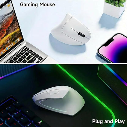 Ergonomic Vertical Wireless Mouse Stylish Rechargeable 2.4G Optical Mice Cordless Mouse with USB Receiver, 800/1200 /1600 DPI, 5 Buttons for Laptop,PC,Mac,Computer (White) | Mice - TrueDesk