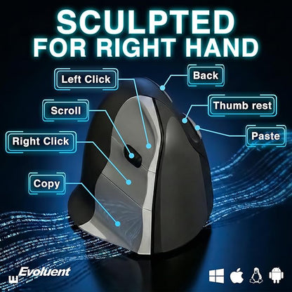 Evoluent – Inventor of The Vertical Mouse – VMC Vertical Ergonomic Mouse Wireless USB/Bluetooth Ergo Design for Right Hand M - L, Sculpted Comfort, 4 Speeds, Copy & Paste Buttons | Mice - TrueDesk